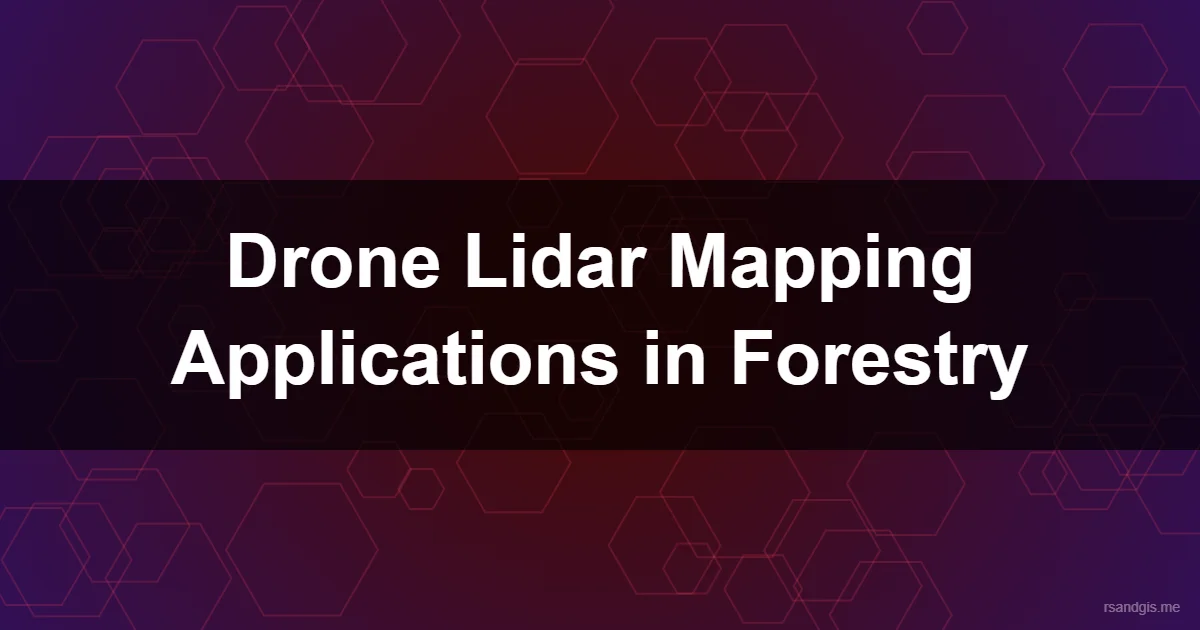 Drone Lidar Mapping Applications In Forestry Drone Lidar Mapping Applications In Forestry Programmatic Art