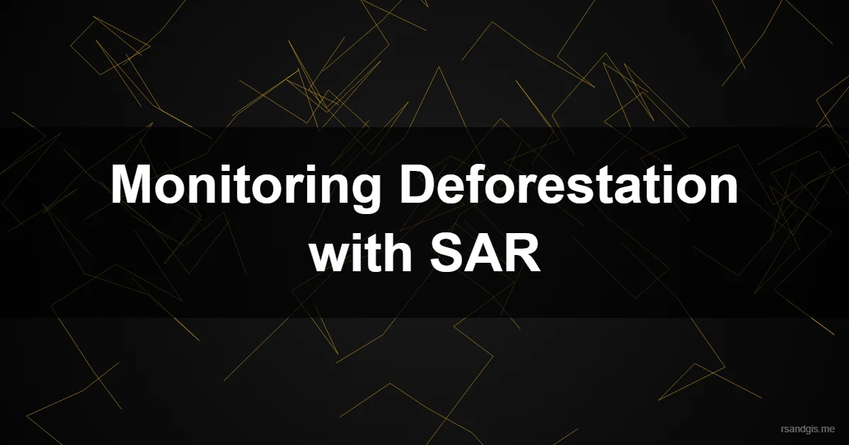 Monitoring Deforestation Synthetic Aperture Radar Monitoring Deforestation Synthetic Aperture Radar Programmatic Art