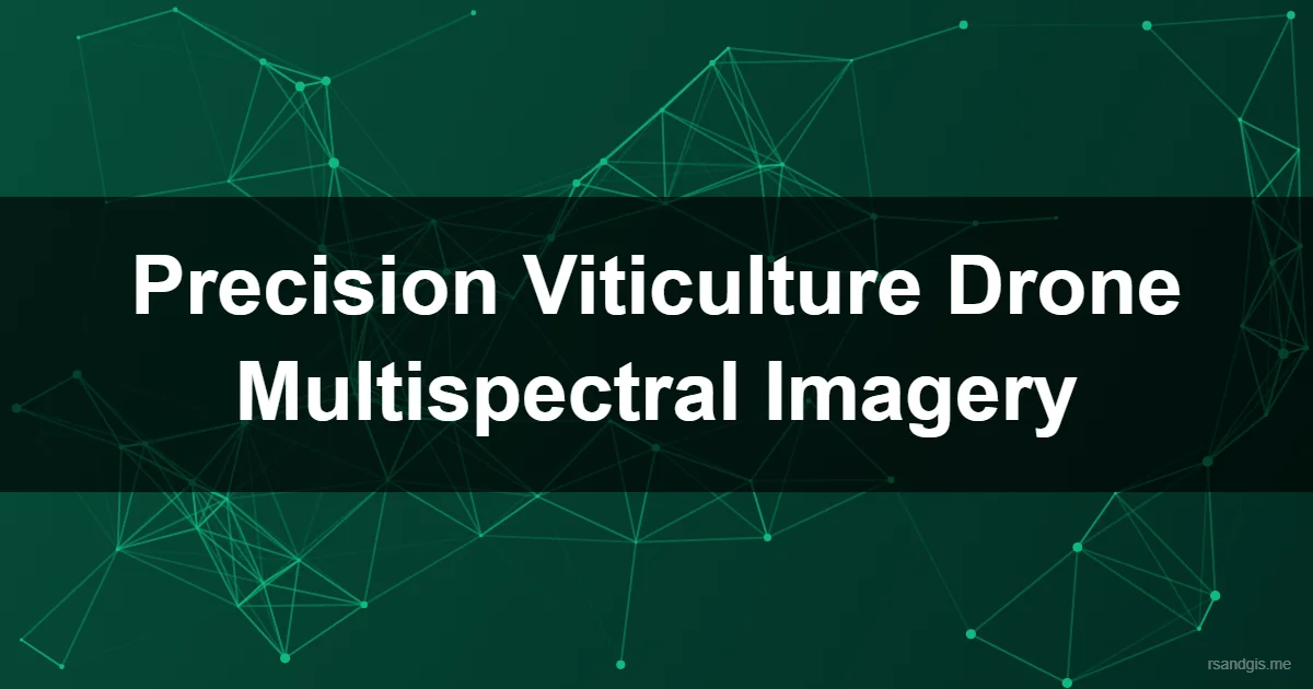 Precision Viticulture Drone Multispectral Imagery Programmatic Art