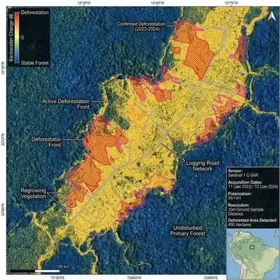 Monitoring Deforestation Using Synthetic Aperture Radar